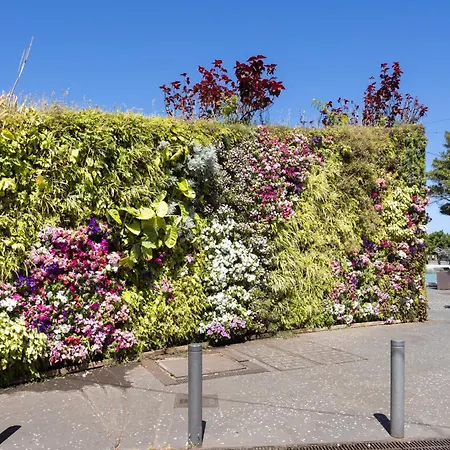 Home2book Cozy Seaside With Stunning Views *