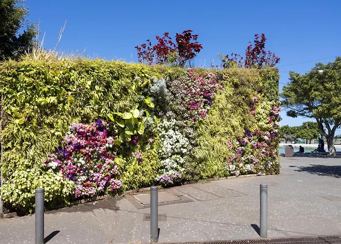 Home2book Cozy Seaside With Stunning Views *