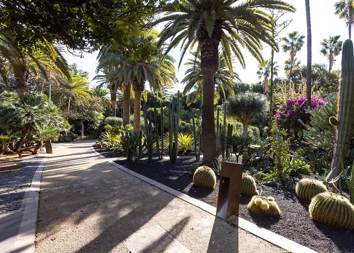 Home2book Cozy Seaside With Stunning Views サンタクルスデテネリフェ